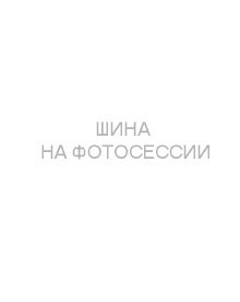 Шины TUNGA  195/65/15  Q 91 NORDWAY 3  Ш.